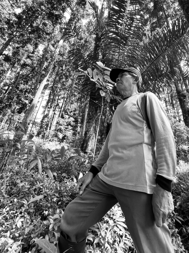 Pak Narsikun, pensiunan Perhutani KPH Banyumas Timur