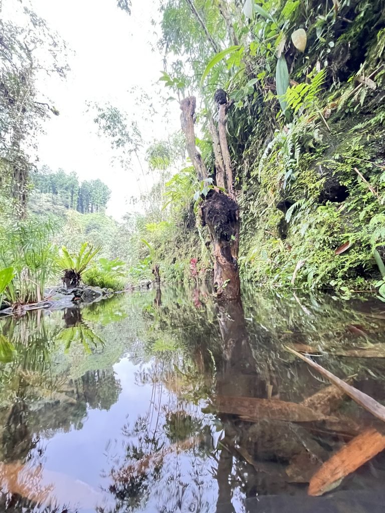 Taman Air Baturraden Adventure Forest