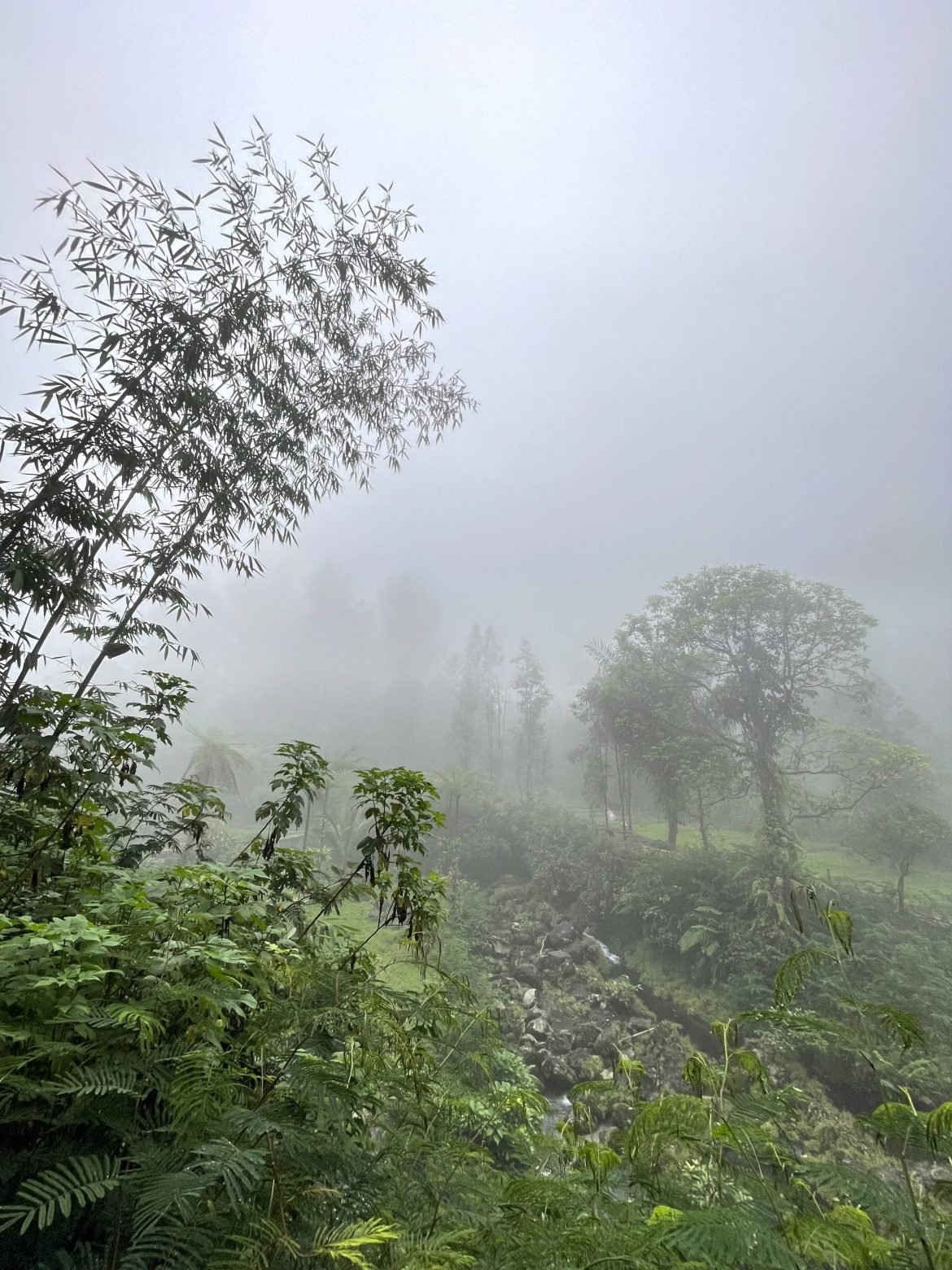Kabut di Kaki Gunung Slamet