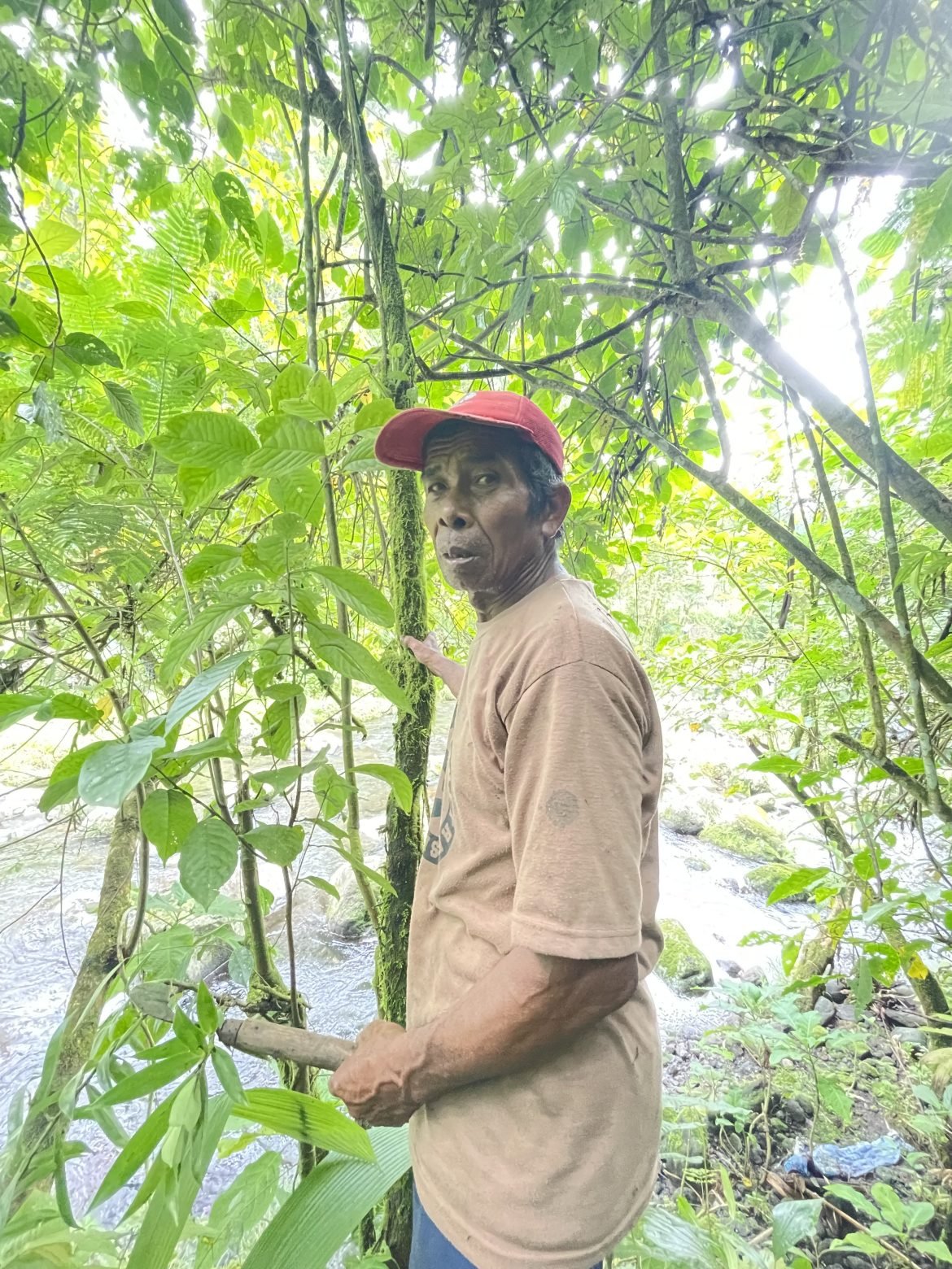Pak Bawor Kamus Hidup Vegetasi Hutan Gunung Slamet